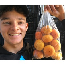 NEW SEASONS SPRAY FREE ENCORE MANDARINS  1 KG Bag  Katikati Grown